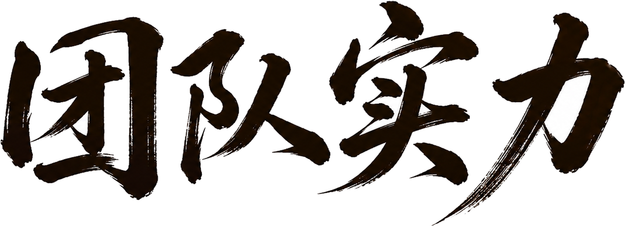 团队实力